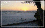 ft_myers_beach001004.gif