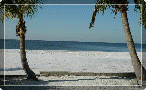 ft_myers_beach001005.gif