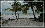ft_myers_beach001006.gif