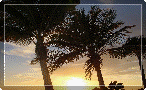 ft_myers_beach001010.gif
