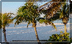 ft_myers_beach003005.gif